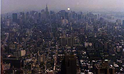 NYC. From World Trade Center